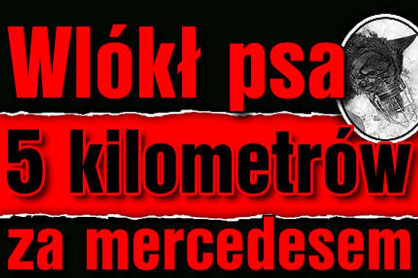 Wlókł psa 5 kilometrów za mercedesem