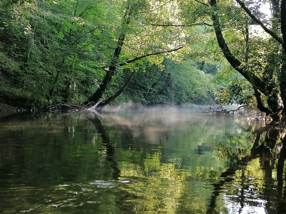 Neolitsko naselje StaPARK kod Užica - reka Đetinja