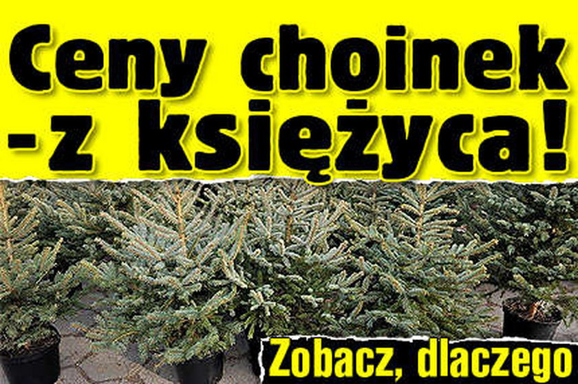 Ceny choinek - z księżyca! Sprawdź, dlaczego?