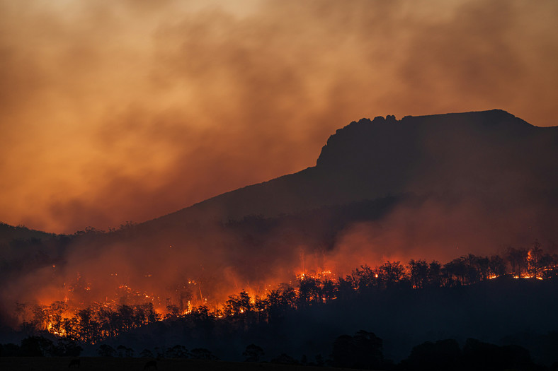 Pożary lasów w Australii