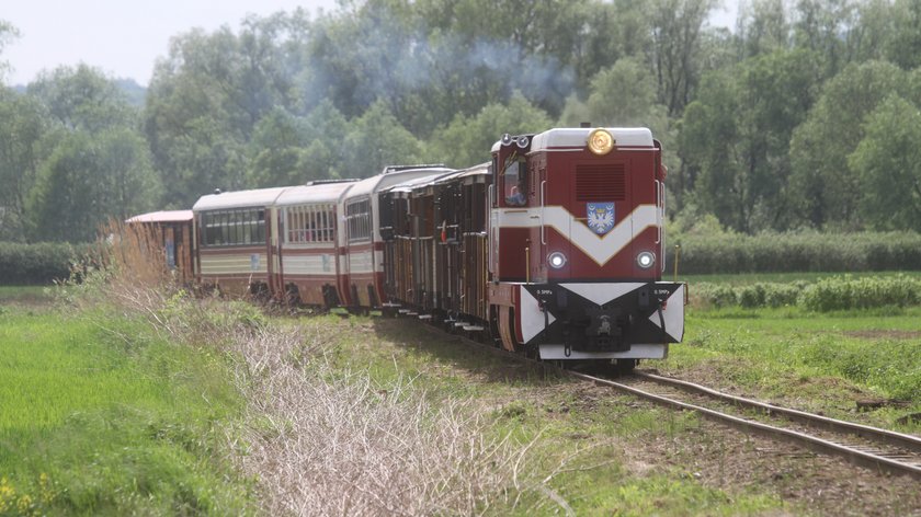 Przeworska Kolejka Wąskotorowa "Pogórzanin" znów na trasie.