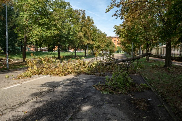 IMGW ostrzega przed silnym wiatrem. Alerty pogodowe w trzech regionach