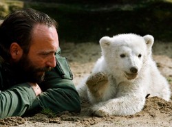 Już wiadomo, co mogło zabić słynnego misia Knuta