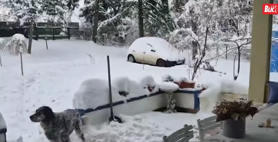 Maja Volk zavejana u selu Babe
