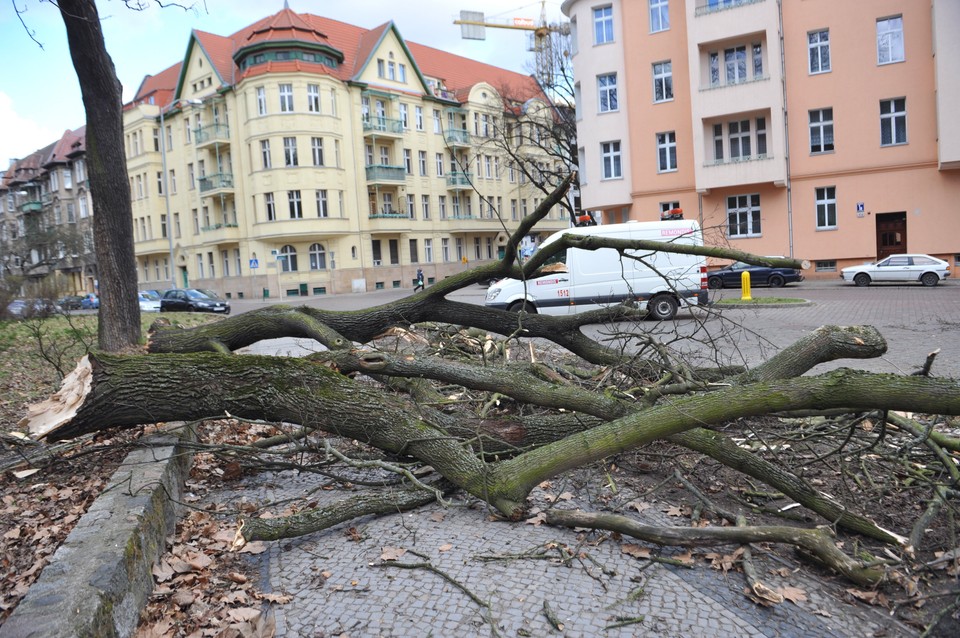 Usuwanie skutków wichury, która przeszła przez woj. zachodniopomorskie