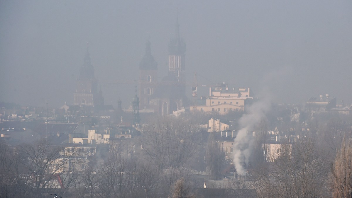 "Atlas pokrycia terenu i przewietrzania Krakowa", zrealizowany w ramach unijnego programu MONIT-AIR, zaprezentowano w krakowskim magistracie. Zdaniem autorów i gospodarzy miasta będzie on pomocny w planowaniu przestrzennym i może przyczynić się do poprawy jakości powietrza.