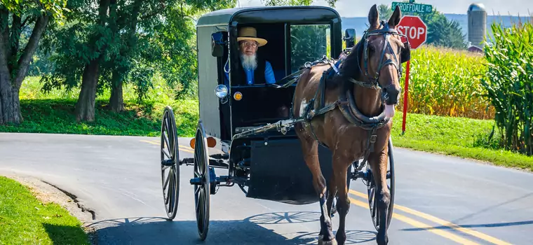 Driftująca dorożka, czyli "Fast and Amish"
