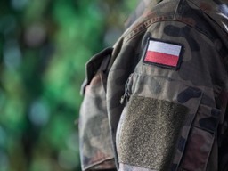 powolania-wojsko-2026-limity-rozporzadzenie