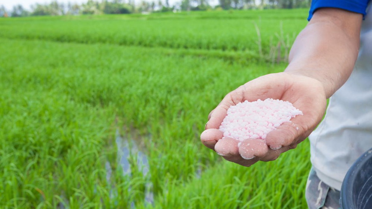 Uralchim, jeden z największych rosyjskich producentów nawozów mineralnych zwiększył produkcję – podał rosyjski serwis informacji gospodarczej Prime.