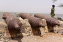 Wyspa Kunta Kinte - zagrożone dziedzictwo historyczne Gambii