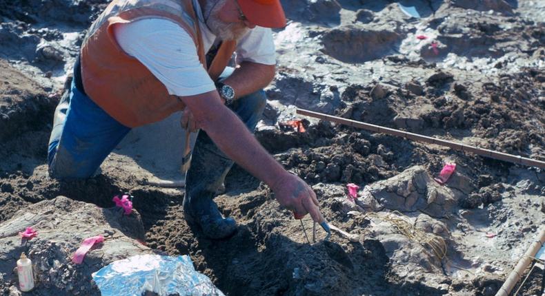 San Diego Natural History Museum Paleontologist Don Swanson pointing at a rock fragment near a piece of mastodon tusk.