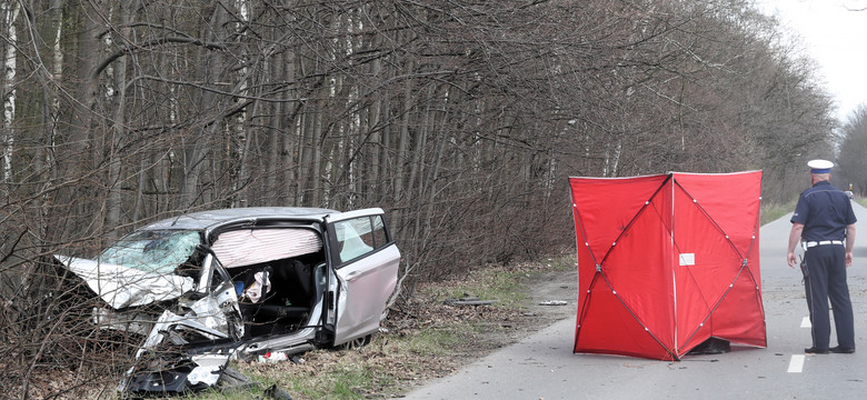 Fatalny wynik Polski na tle UE, giną tysiące ludzi