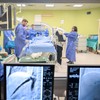 Univerzitetski klinički centar Srbije