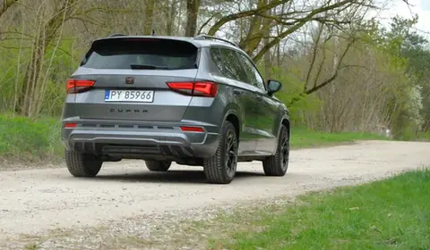 SUV średniej wielkości, ale na bogato. Sprawdziłem, czy 190-konna Cupra Ateca jest tak drapieżna, jak mówią