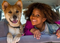 Annie, ukochana sierotka Ameryki znów chwyta za serca [ZDJĘCIA]