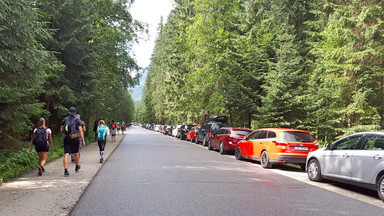 Tatry: policja bezwzględna dla źle parkujących na drodze do Morskiego Oka