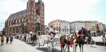 Konie pracują w upale. Zakazu dorożek w Krakowie nie będzie