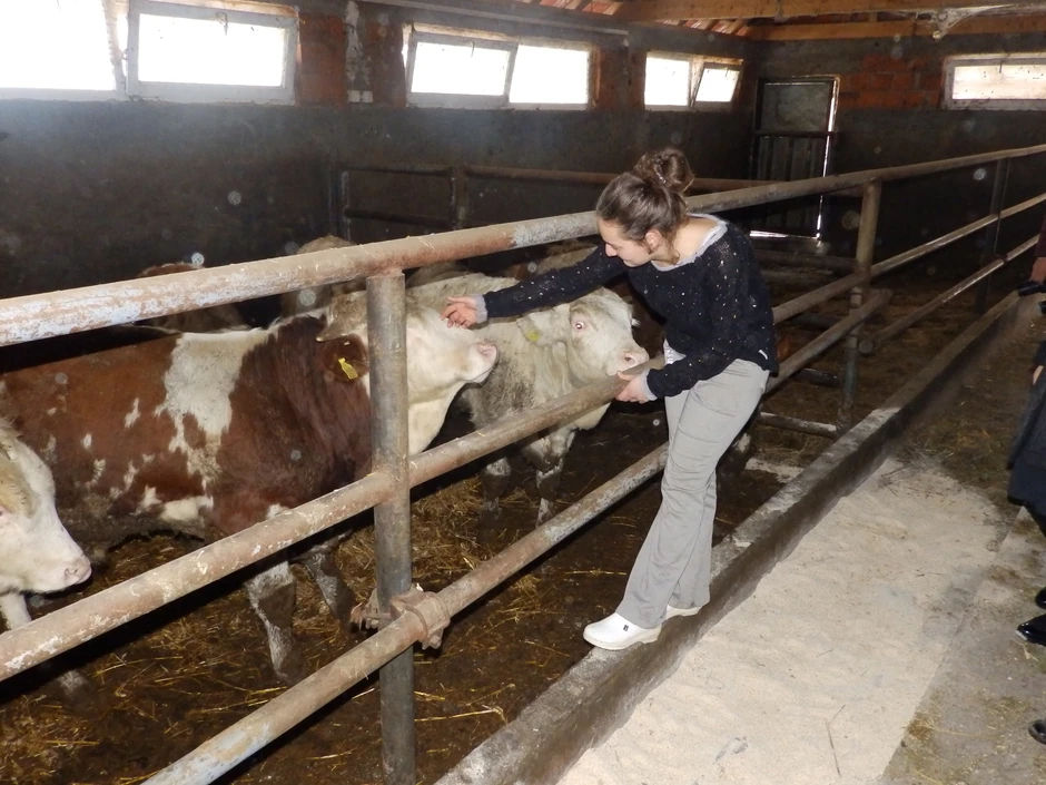 Jovana sa telićima: I ona ustaje u 5 ujutru, pomaže majci, stiže i da uči