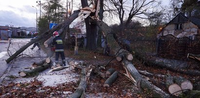 Potężne wichury w całym kraju. Tysiące ludzi bez prądu