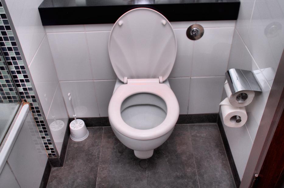 Ezért ilyen tiszta a WC-m, most elárulom neked is a titkomat. Fotó: Getty Images