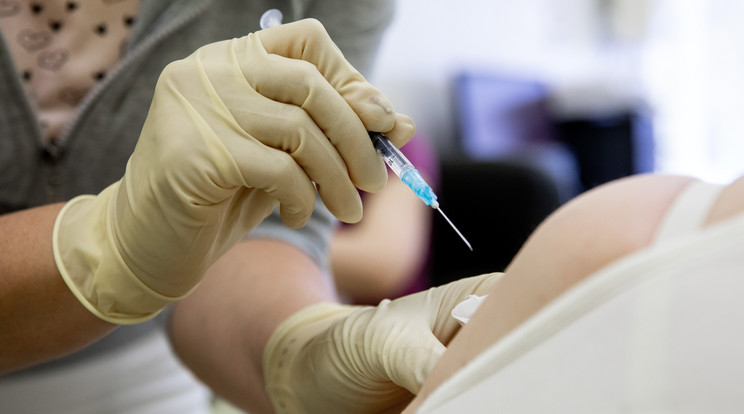 20 000 embert oltottak be illegális vakcinával Németországban / Fotó: MTI/Rosta Tibor