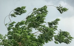 Burza i silny wiatr na festynie z okazji Święta Pieroga. Zawaliła się scena