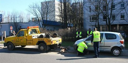 Zobacz, gdzie poluje straż miejska