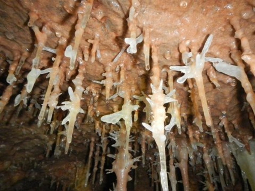 Predstoji istraživanje i bočnih hodnika pećine koja je bogata pećinskim nakitom