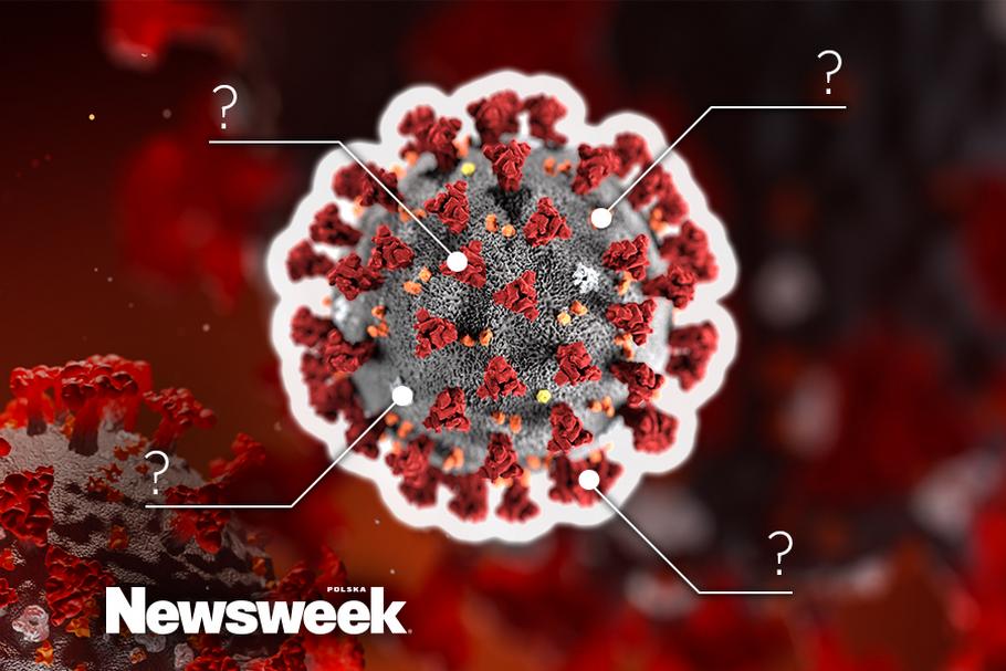 Koronawirus Czym Jest Koronawirus Jak Przebiega Zarażenie Zdrowie Newsweekpl 2182