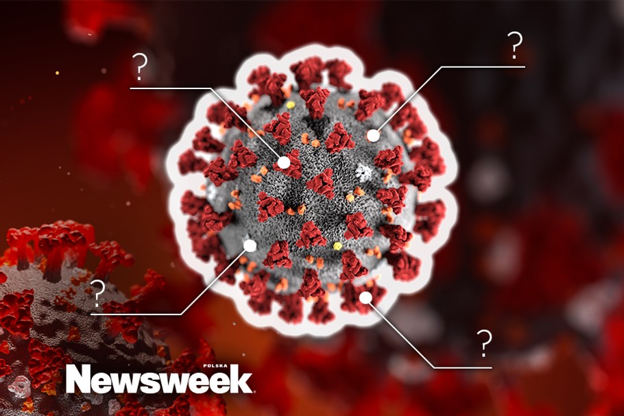 Koronawirus Czym Jest Koronawirus Jak Przebiega Zarażenie Zdrowie Newsweekpl 2182