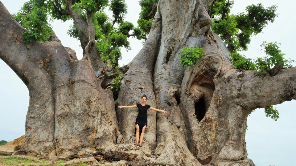 Joanna Wieczorek-Dieng i baobab w Nianing