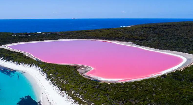 Lac Rose / Talkafrica