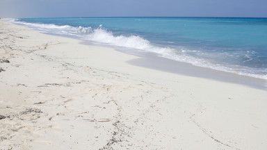 Egipt sprzedaje plaże nad Morzem Śródziemnym - szuka inwestorów na rozwój północnego wybrzeża