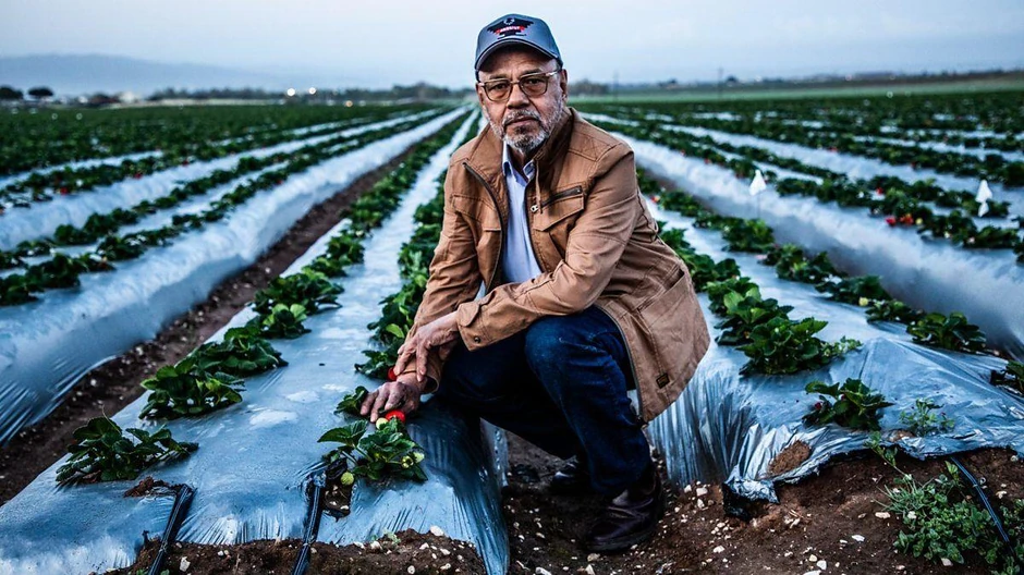 Antonio u polju | Foto: Billy Douglas