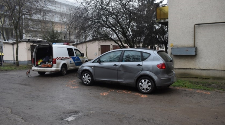 Az ismeretlen károkozó nem sokáig élvezhette a szabadságot/Fotó:Police.hu