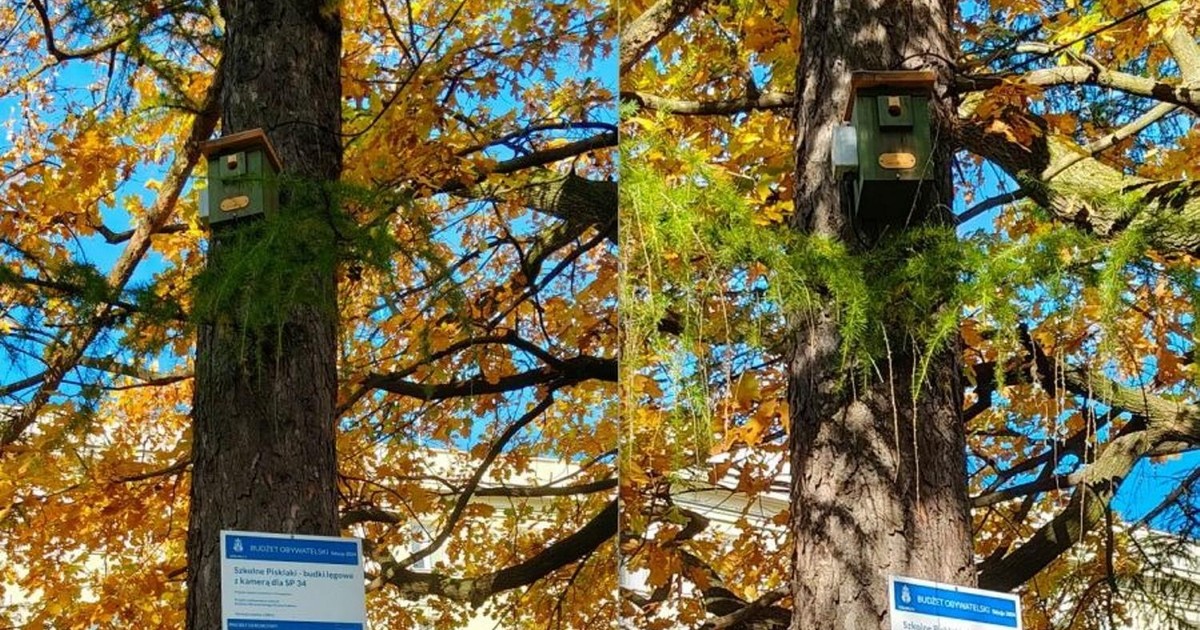 Budżet obywatelski zmienia krakowskie szkoły. Warto podejmować te decyzje