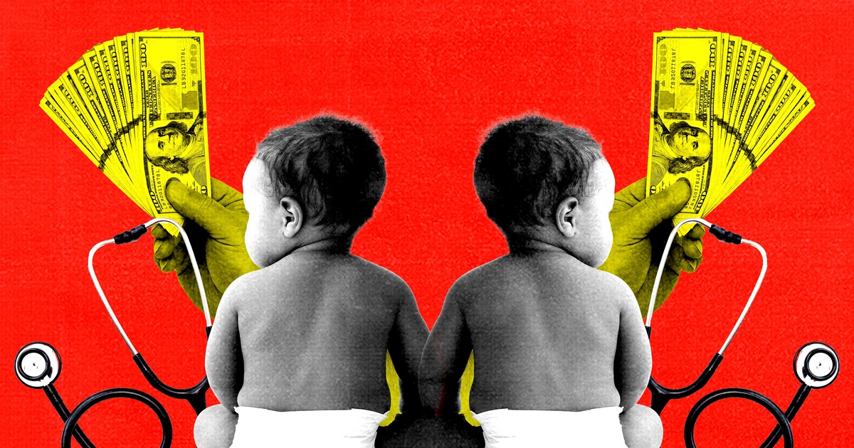 Why have one baby when you can have 2? People are paying $500,000 to ...