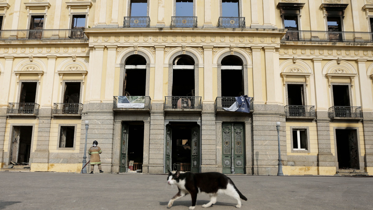 Wicedyrektor Muzeum Narodowego w Rio de Janeiro, w którym w nocy z niedzieli na poniedziałek wybuchł ogromny pożar, poinformowała, że spłonęło 90 proc. spośród około 20 mln eksponatów, w tym m.in. słynna czaszka Luzii - podała we wtorek agencja EFE.