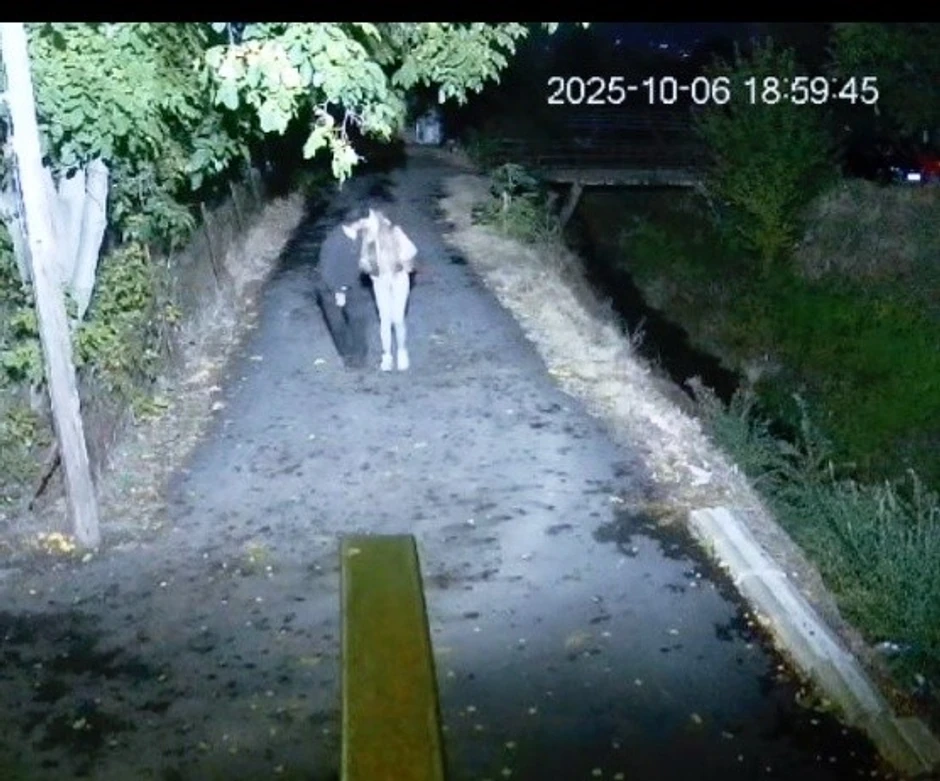 Sofija Janićijević i Dane