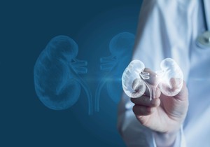 Voda pomaže bubrezima da rade svoj posao