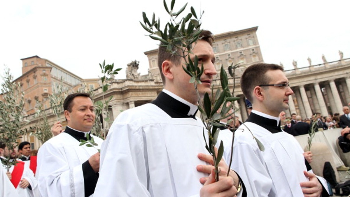 Wiele jest przyczyn współczesnego kryzysu powołań: niż demograficzny, rozbite rodziny, osłabienie praktyk religijnych, zaniedbania duszpasterskie, a przede wszystkim brak pozytywnego świadectwa kapłańskiego życia.