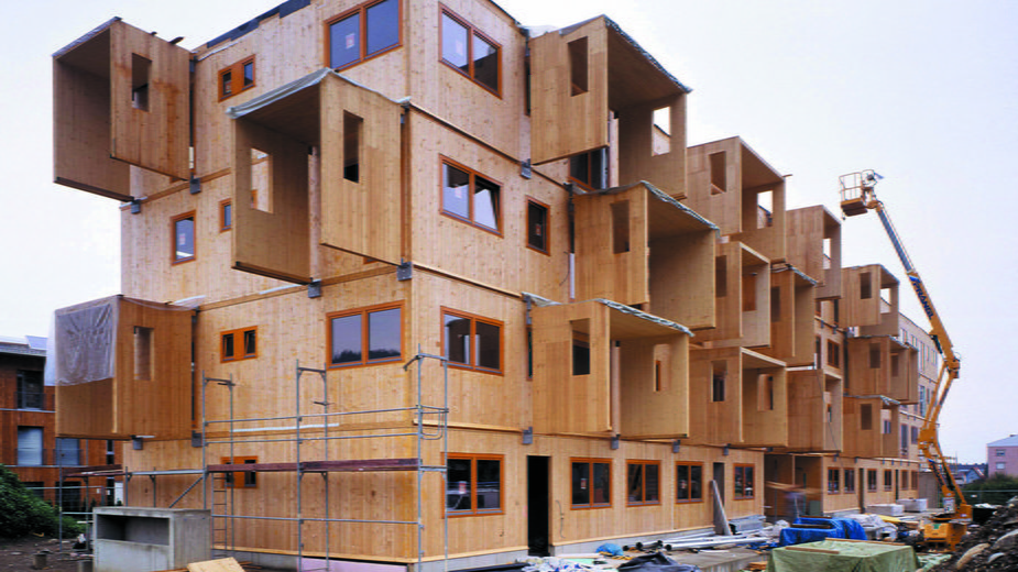 Budowa drewnianego osiedla z CLT - Frauengasse w Austrii