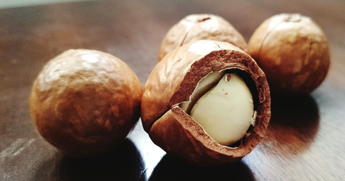 Dr. Pimple Popper Removes a 'Macadamia Nut' Pilar Cyst in New Video