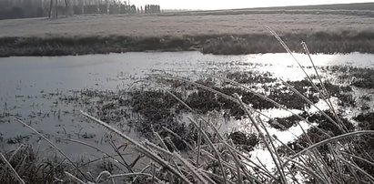 Mroźny poranek na Kaszubach. Ostatni tej zimy?