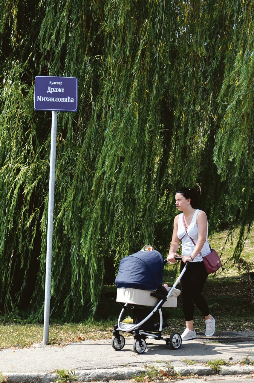 Tabla na raskrsnici Kumodraške i Darvinove, u komšiluku Bulevara Peka Dapčevića