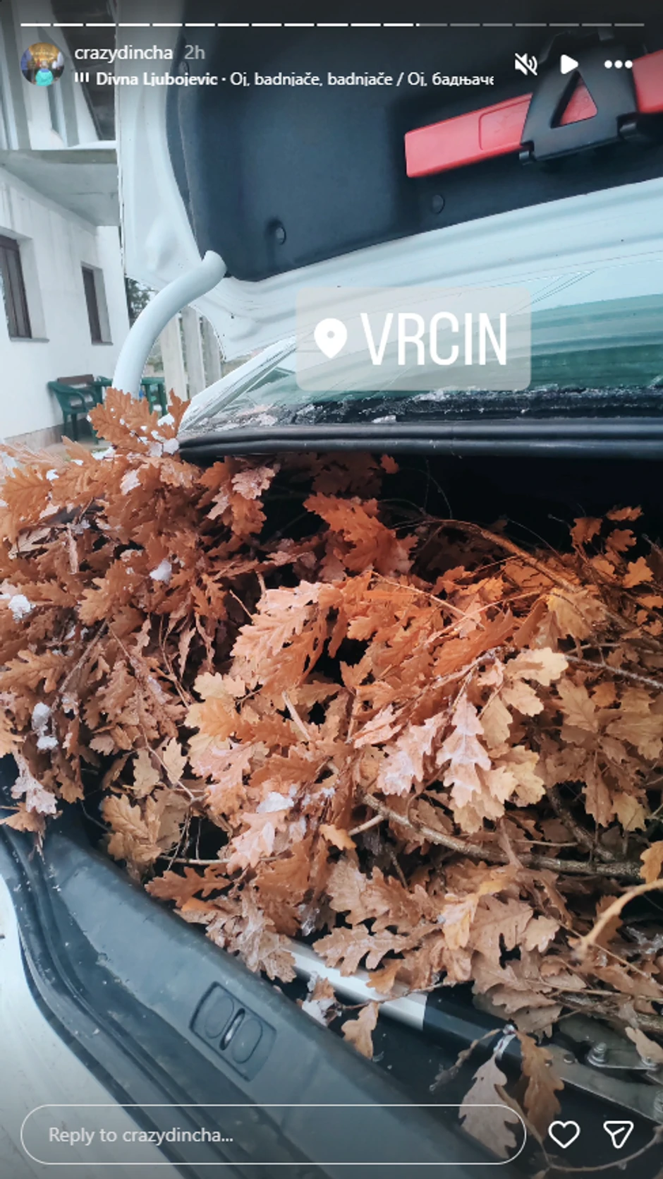 Dinča otišao u Badnjake