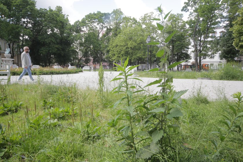 Park Sienkiewicza w Łodzi po remoncie do naprawy