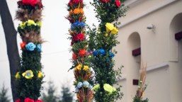 zapomniana tradycja przodków. dowiedz się, co od setek lat robi się ze starą palmą