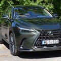 Lexus NX 350h – SUV na każde warunki