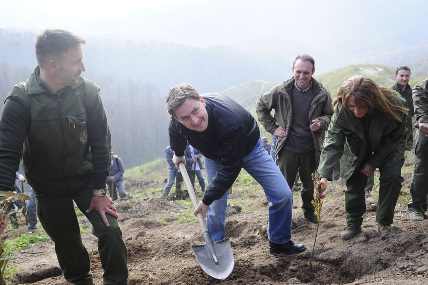 Pošumljavanje Cera u akciji jedno drvo za jednog ratnika